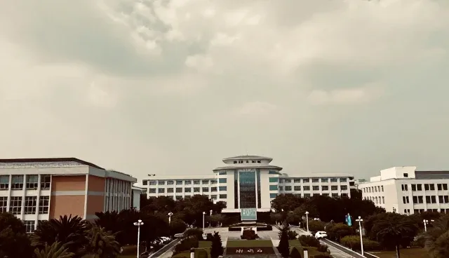 高级网页设计:信息发布系统中的查询优化与用户体验提升